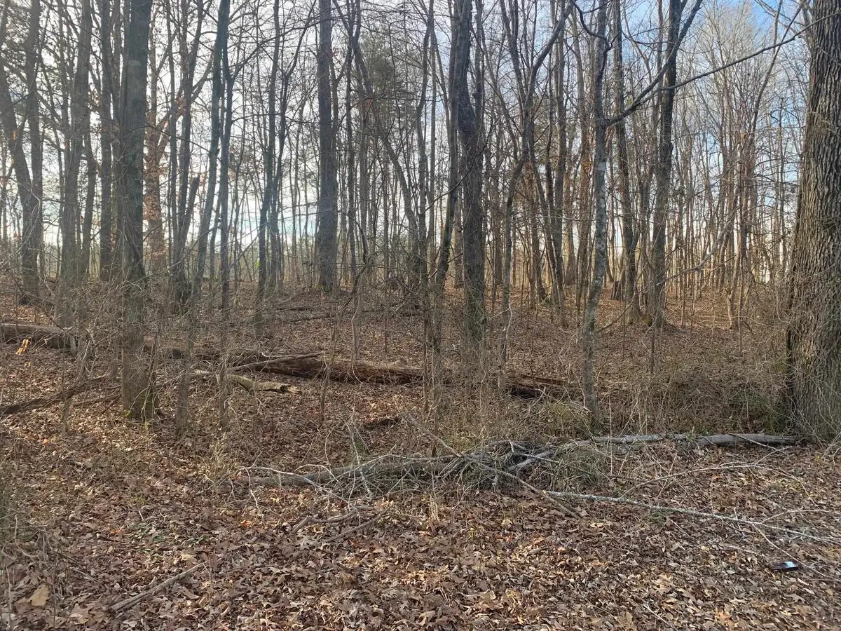 7870 BUENA VISTA RD, Bethel Springs, TN 38315 - #1