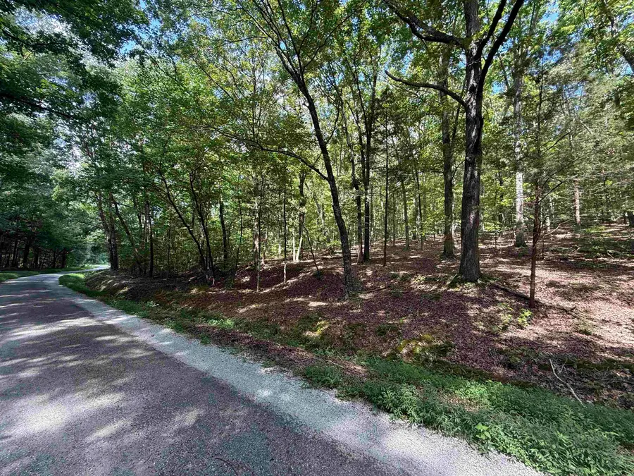 000 HERNDON CEMETERY RD, Big Sandy, TN 38221 - #2