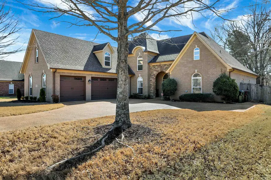 245 AMBER WAVES LN, Collierville, TN 38017 - #2