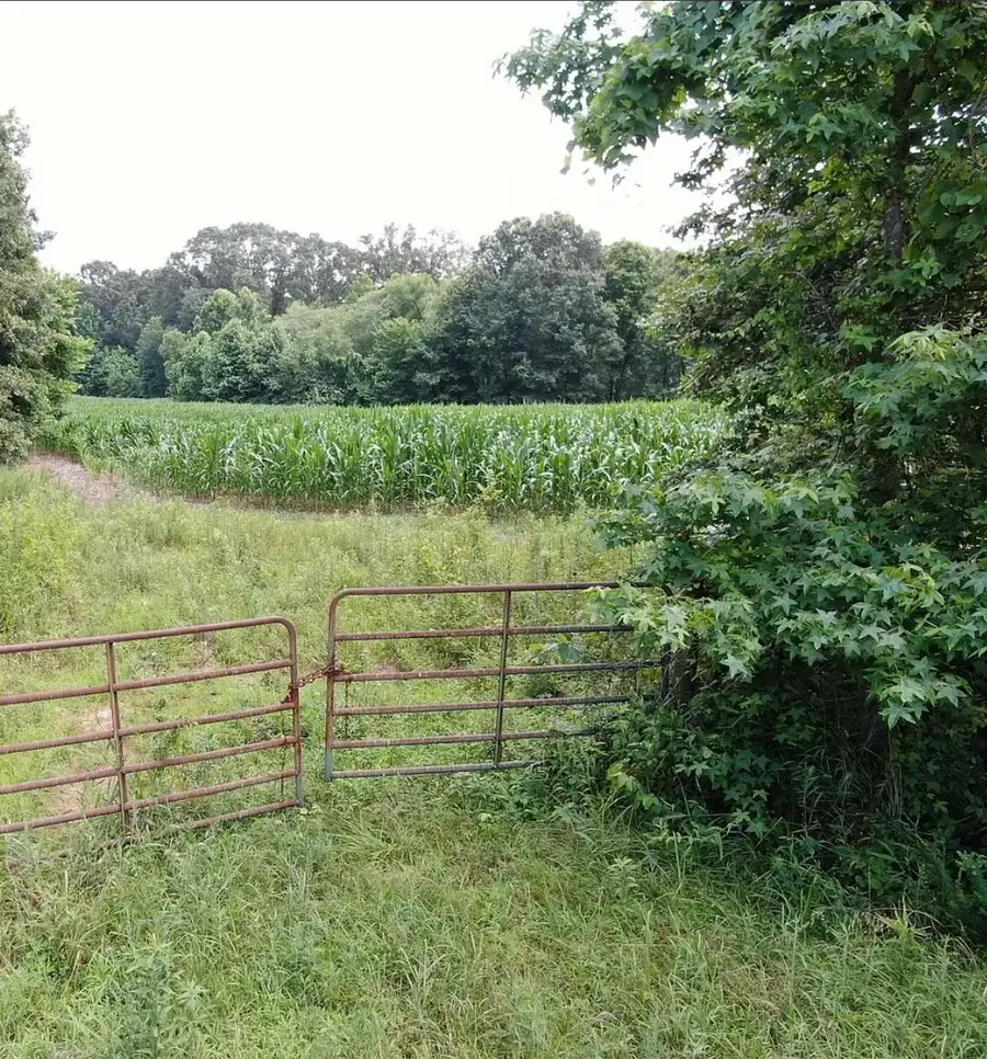 0 DORSE RD, 38057, TN 38057 - #3