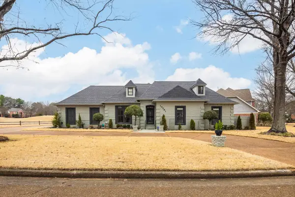 10281 PEYTON PATH CV, Collierville, TN 38017