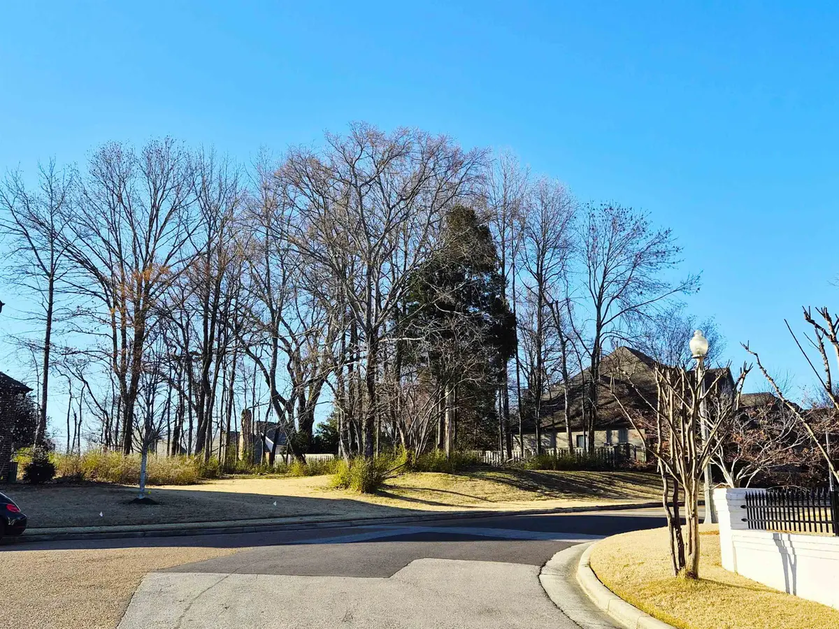 2447 SANDERS RIDGE DR, Germantown, TN 38138 - #1