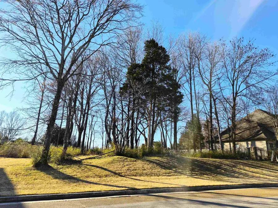 2447 SANDERS RIDGE DR, Germantown, TN 38138 - #3