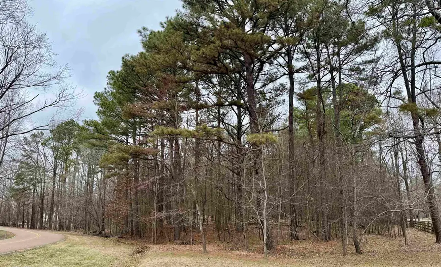 0 E WEXFORD DR, Eads, TN 38028 - #3