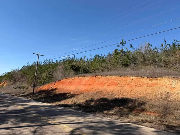 1 PYBURN DR, Savannah, TN 38372