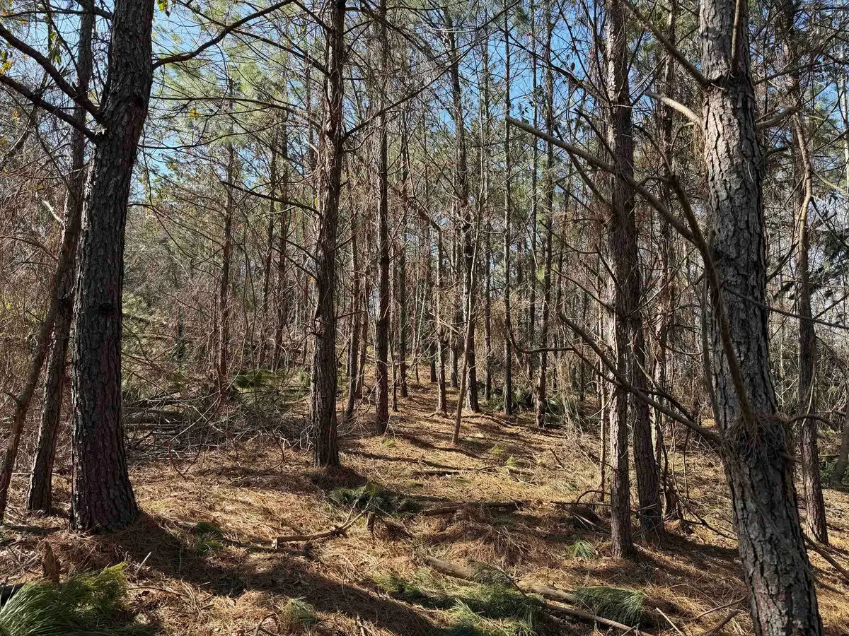 2 PYBURN DR, Savannah, TN 38372 - #1