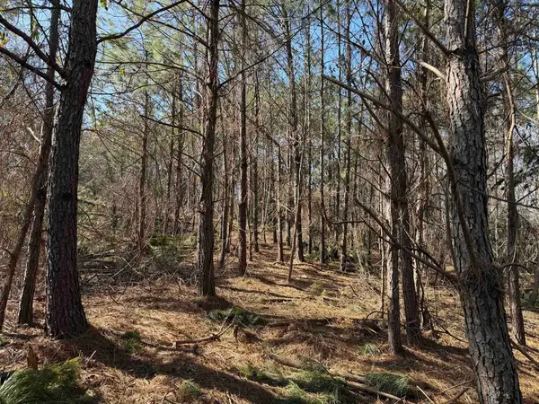 2 PYBURN DR, Savannah, TN 38372