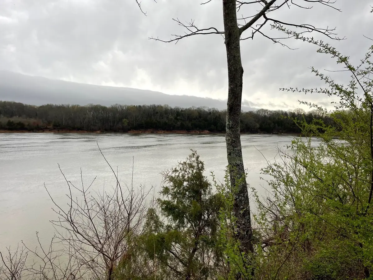 70 CRAVENS RD, Savannah, TN 38372 - #1