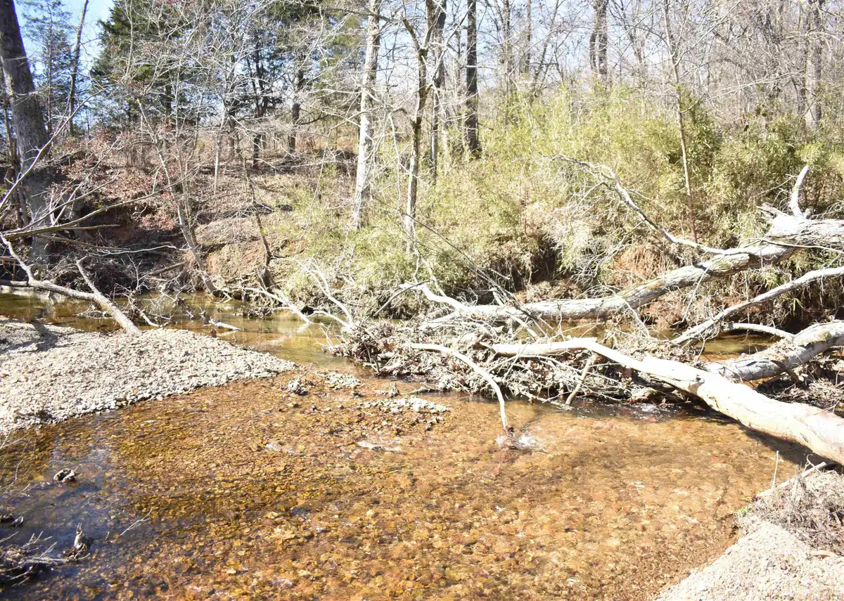 1 DAVID BROWN RD, Clifton, TN 38425 - #1