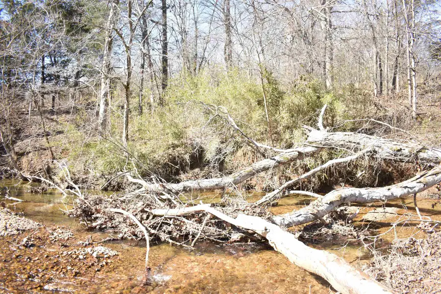 1 DAVID BROWN RD, Clifton, TN 38425 - #3