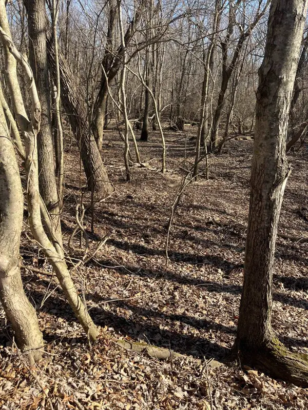 0 GREENE COUNTY AR 954 RD W, Paragould, AR 72450