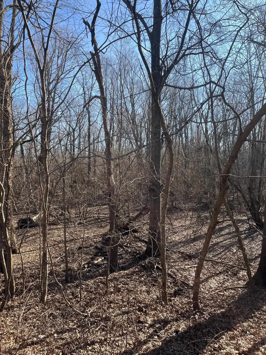 0 GREENE COUNTY AR 954 RD W, Paragould, AR 72450 - #2