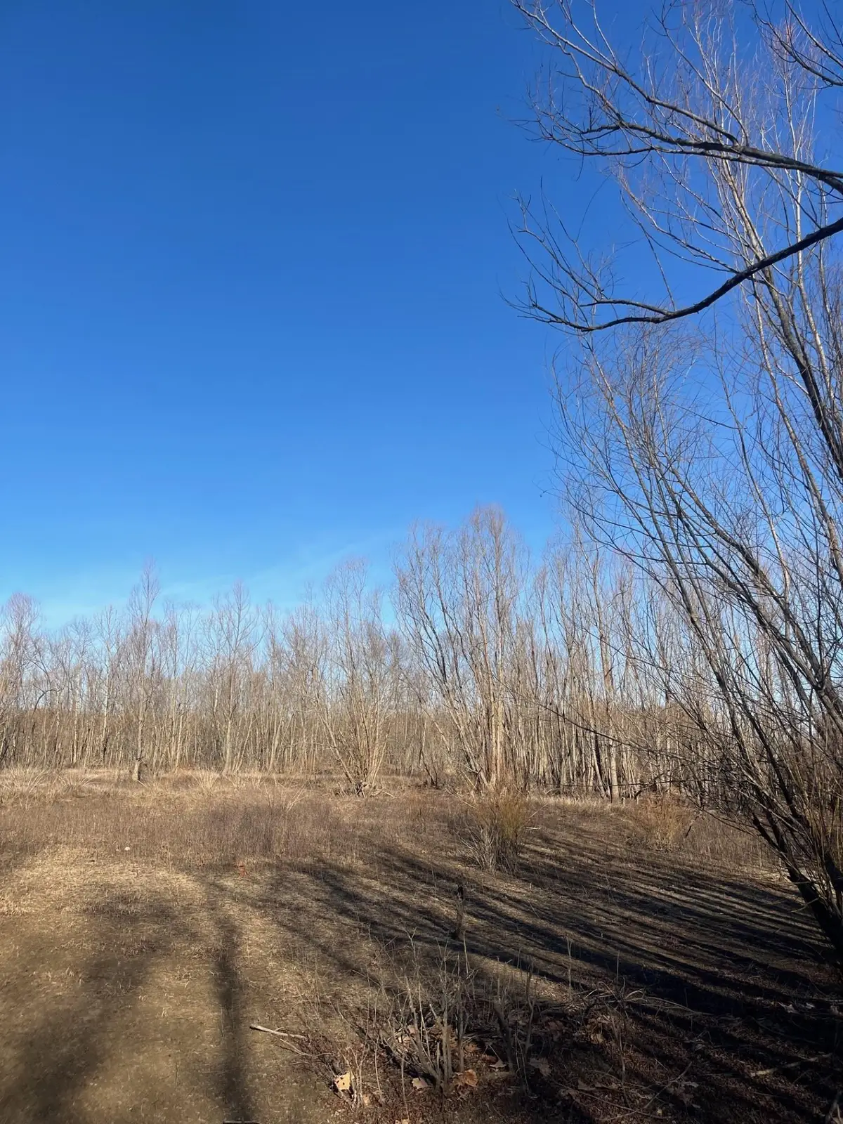 0 E GREENE COUNTY AR 840 RD N, Paragould, AR 72450 - #1