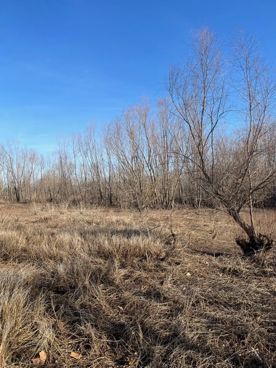 0 E GREENE COUNTY AR 840 RD N, Paragould, AR 72450 - #3