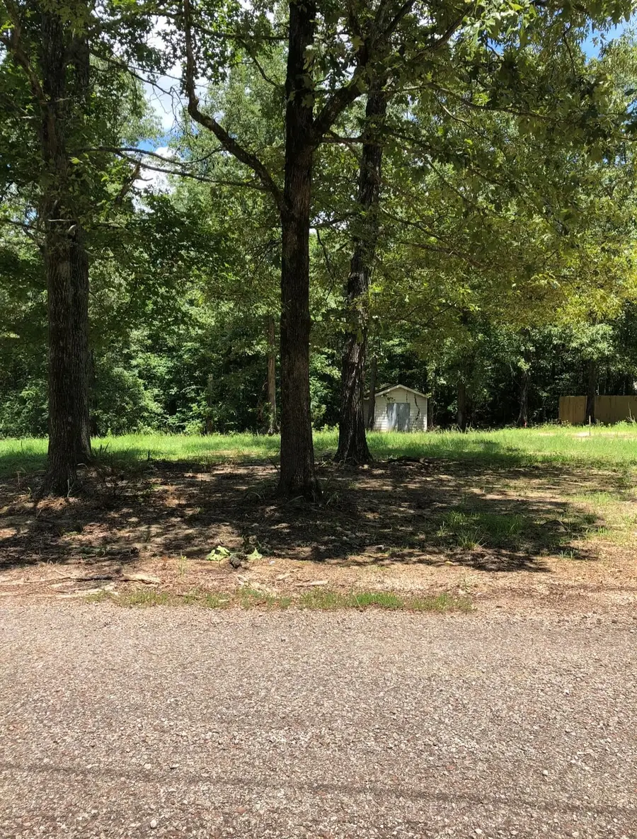 50 HOMEPORT LN, Savannah, TN 38372 - #2