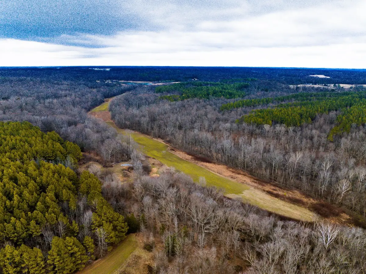 0 JONES MILL CROSSLAND RD, Puryear, TN 38251 - #1