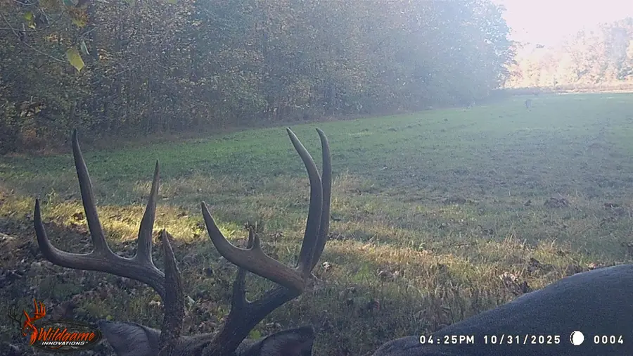 0 JONES MILL CROSSLAND RD, Puryear, TN 38251 - #3