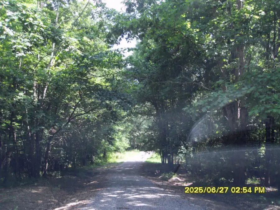 5365 SARDIS DR, Hickory Valley, TN 38068 - #3