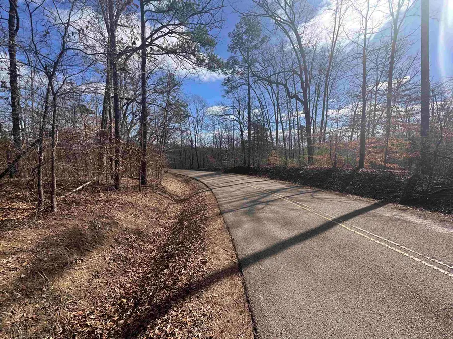 0 PINE TOP RD, Hornsby, TN 38044 - #2