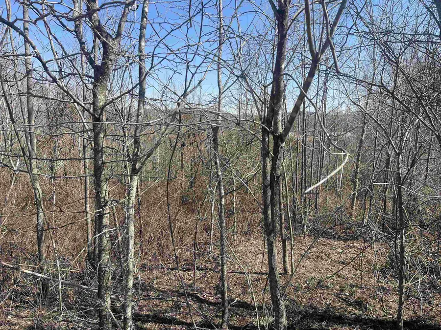 3 DAVID BROWN RD, Clifton, TN 38425 - #3