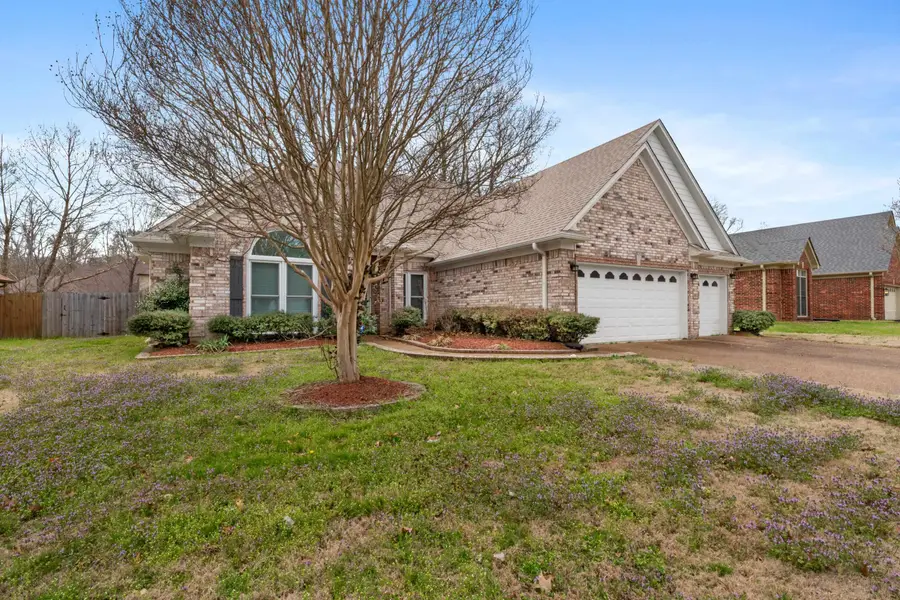 9107 RASPBERRY LN, Cordova, TN 38016 - #3