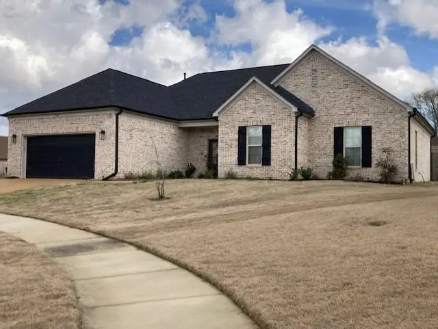 7709 CANYON RIDGE CV, Memphis, TN 38125 - #2