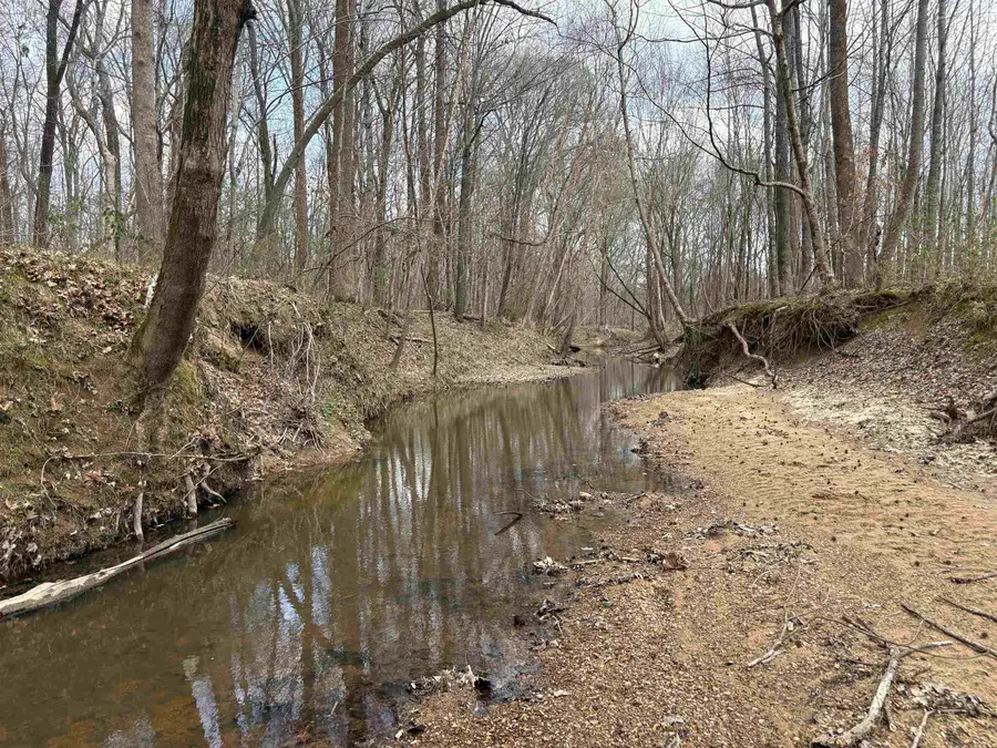 11338 MONTEREY RD, Eads, TN 38028 - #2