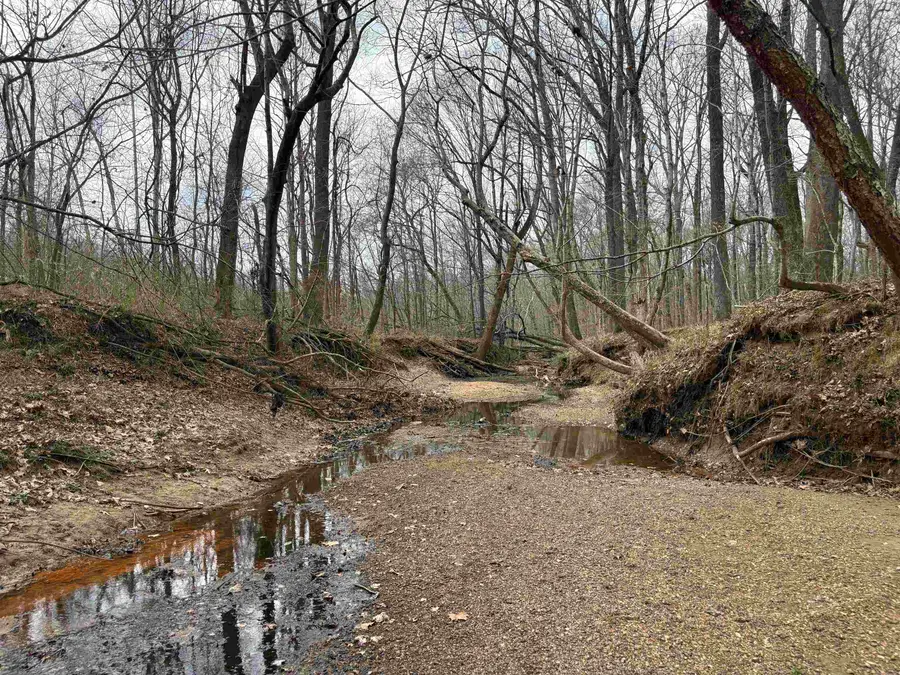 11338 MONTEREY RD, Eads, TN 38028 - #3