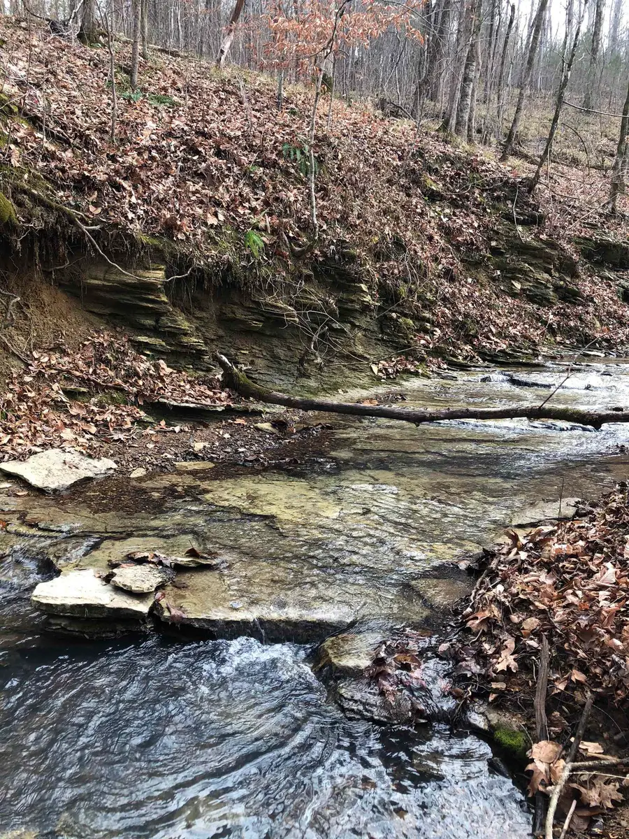 47 BETTY LN, Olivehill, TN 38475 - #3