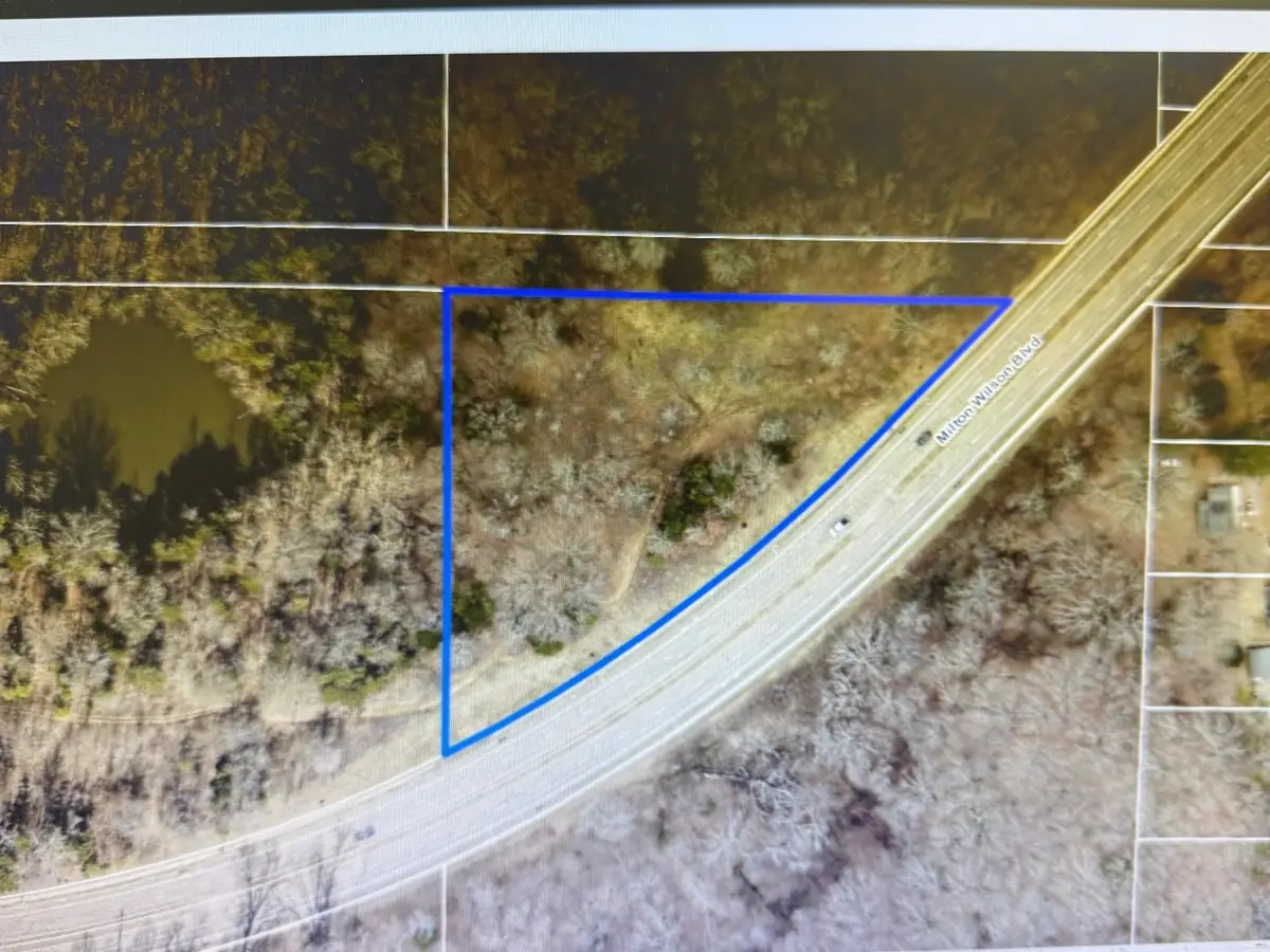 0 MILTON WILSON RD, Arlington, TN 38002 - #1