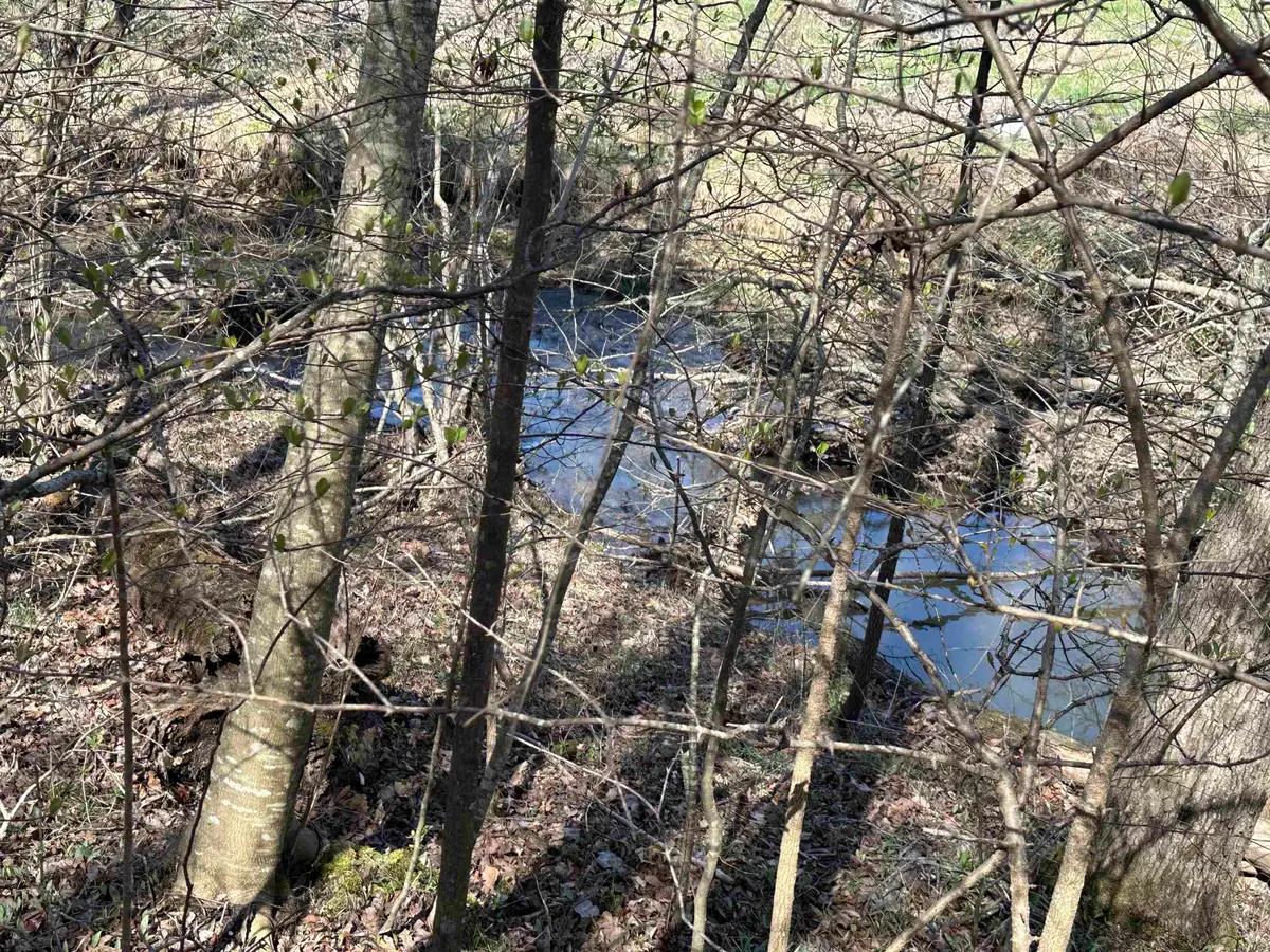 00 POPLAR SPRINGS RD, Savannah, TN 38372 - #1