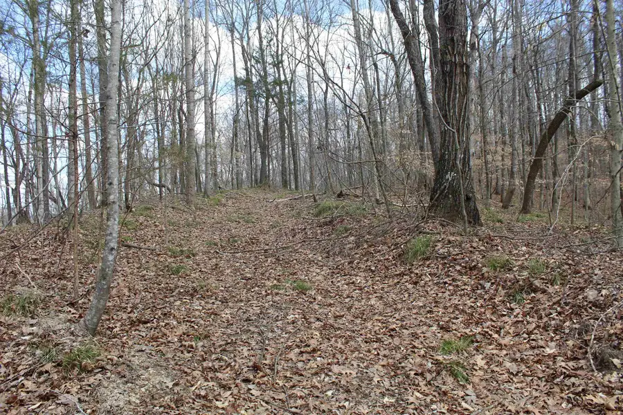 3482 WATERFALL CREEK RD, Collinwood, TN 38450 - #2