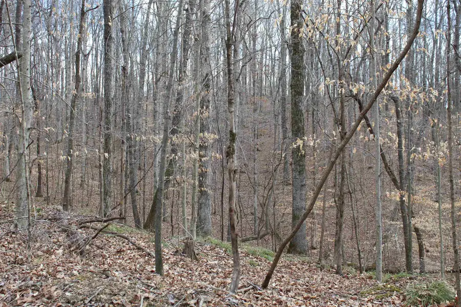 3482 WATERFALL CREEK RD, Collinwood, TN 38450 - #3