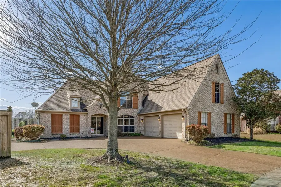 11095 GOAT VALLEY CV, Arlington, TN 38002 - #2