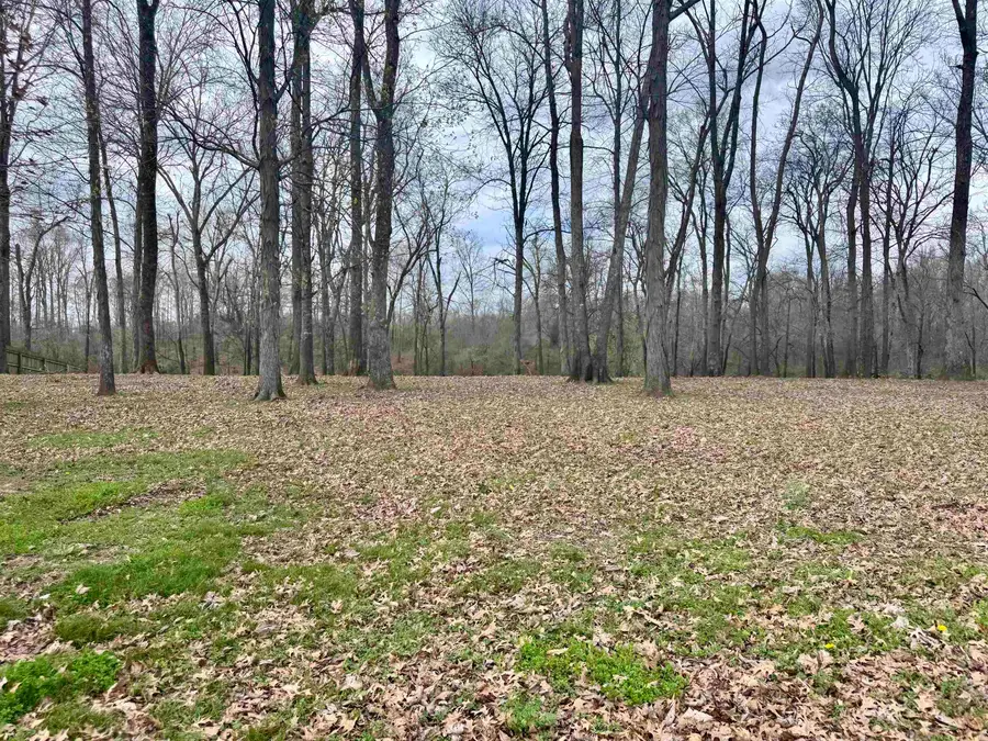 450 & 460 TEAL LN, Savannah, TN 38372 - #2