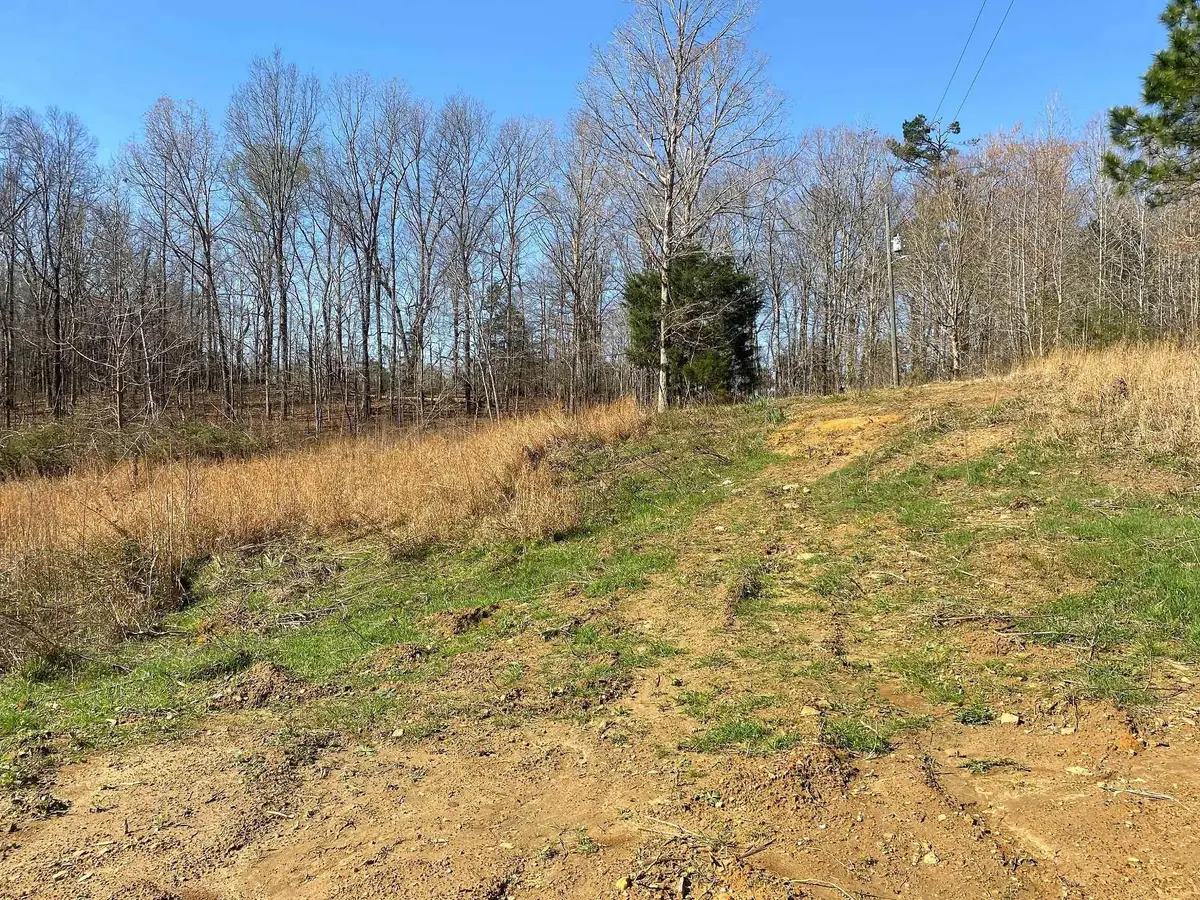 65 AMELIA BRIANN DR, Selmer, TN 38375 - #1