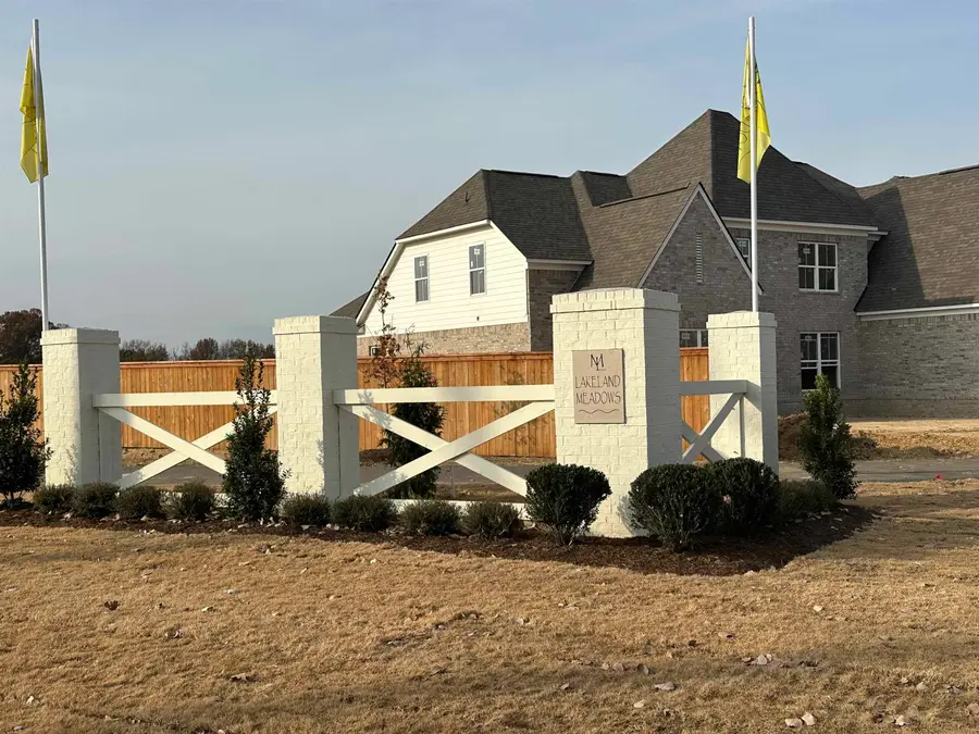 10032 LEVILEO DR, Lakeland, TN 38002 - #3