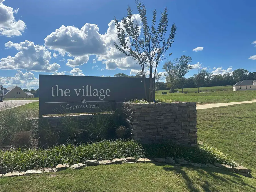 335 BIBURY LN, Eads, TN 38028 - #3