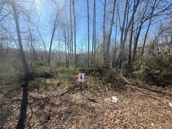 TRACT 2 HWY 22A HWY, Jacks Creek, TN 38347