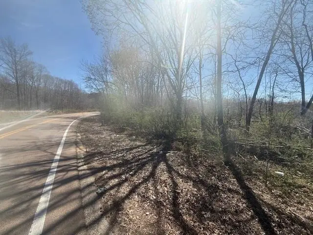 TRACT 2 HWY 22A HWY, Jacks Creek, TN 38347 - #2