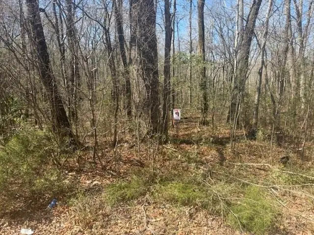 TRACT 9 HWY 22A HWY, Jacks Creek, TN 38347 - #2