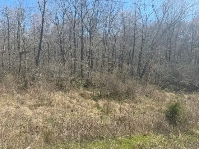 TRACT 10 HWY 22A HWY, Jacks Creek, TN 38347 - #3