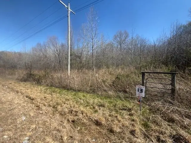 TRACT 13 HWY 22A HWY, Jacks Creek, TN 38347 - #2