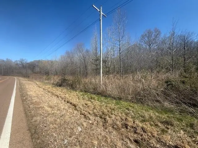 TRACT 13 HWY 22A HWY, Jacks Creek, TN 38347 - #3