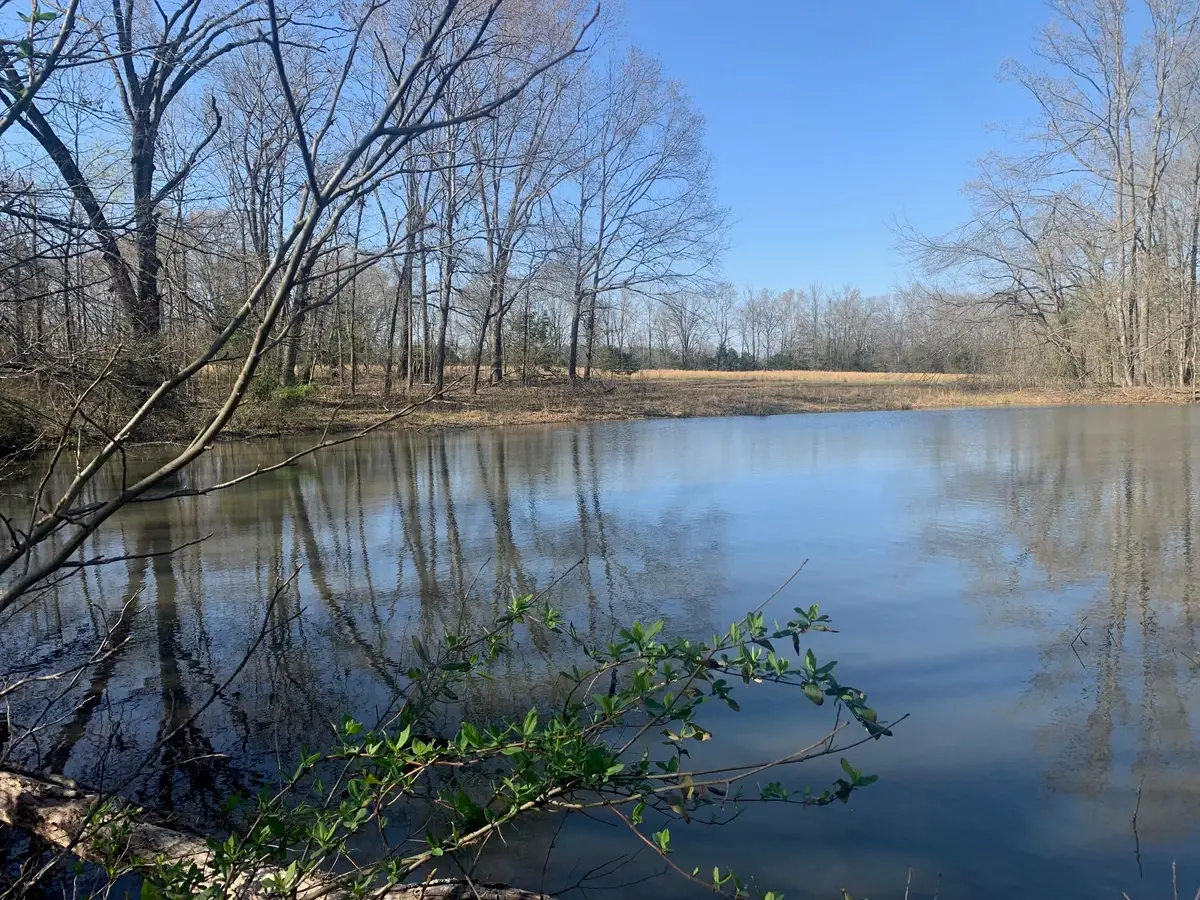 00 57 HWY E, Michie, TN 38357 - #1