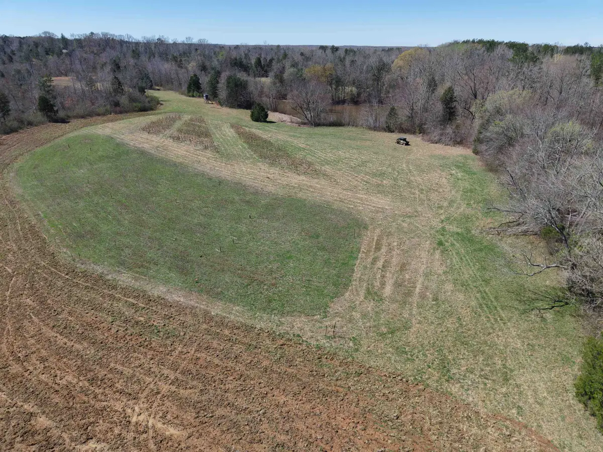 00 VAN BUREN RD, Saulsbury, TN 38067 - #1