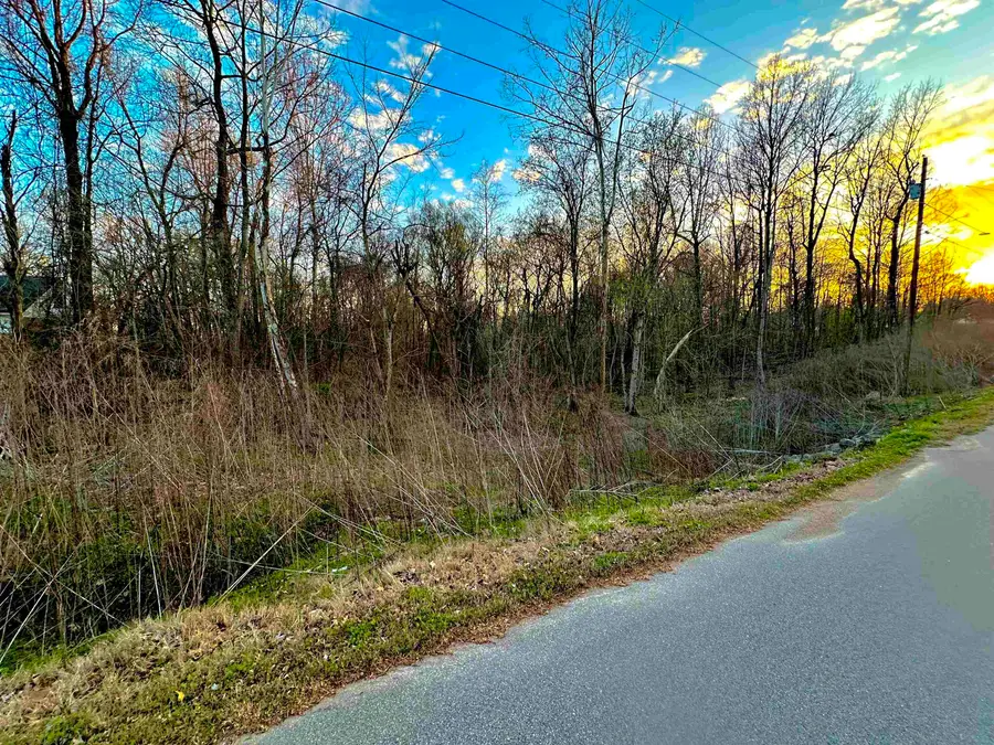 00 SUSAN CIR, Drummonds, TN 38023 - #2