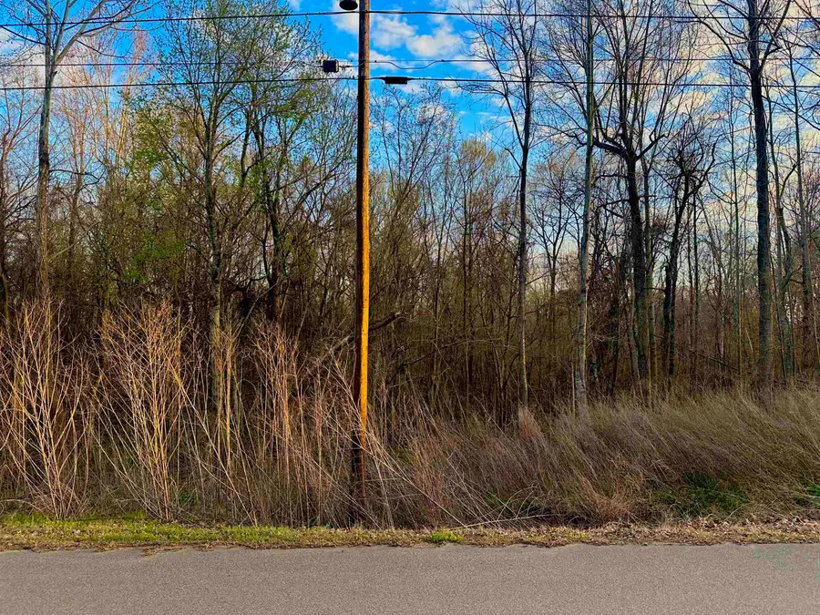 00 SUSAN CIR, Drummonds, TN 38023 - #3