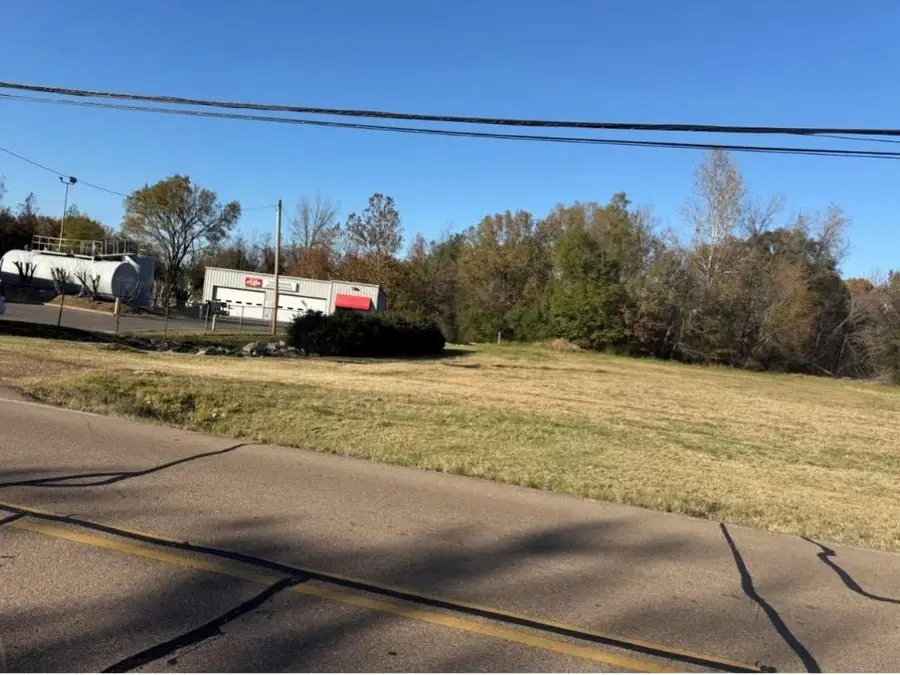 0 OLD BROWNSVILLE RD, Brunswick, TN 38014 - #3