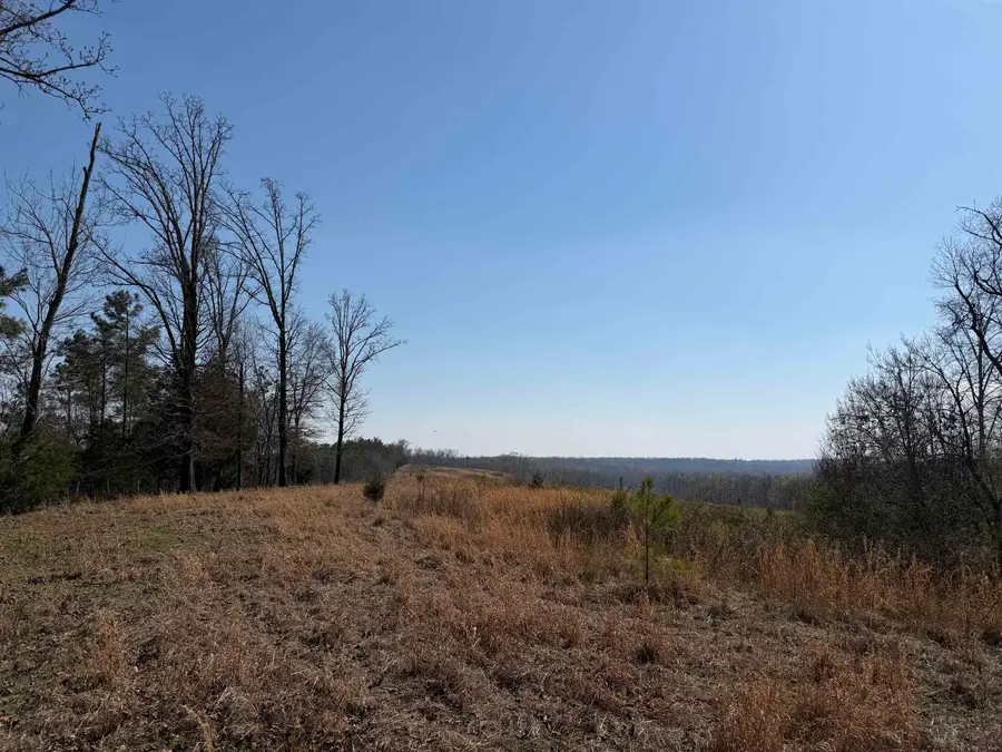 1 MARSHALL DR, Morris Chapel, TN 38361 - #2